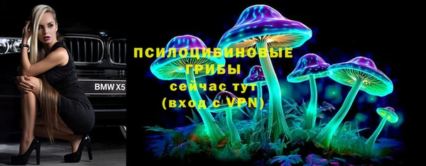 не бодяженный Аркадак