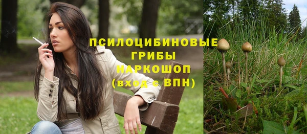 не бодяженный Аркадак