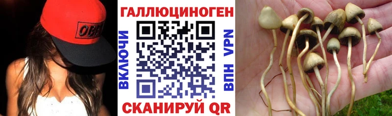 mega tor  Константиновск  Галлюциногенные грибы ЛСД  продажа наркотиков 
